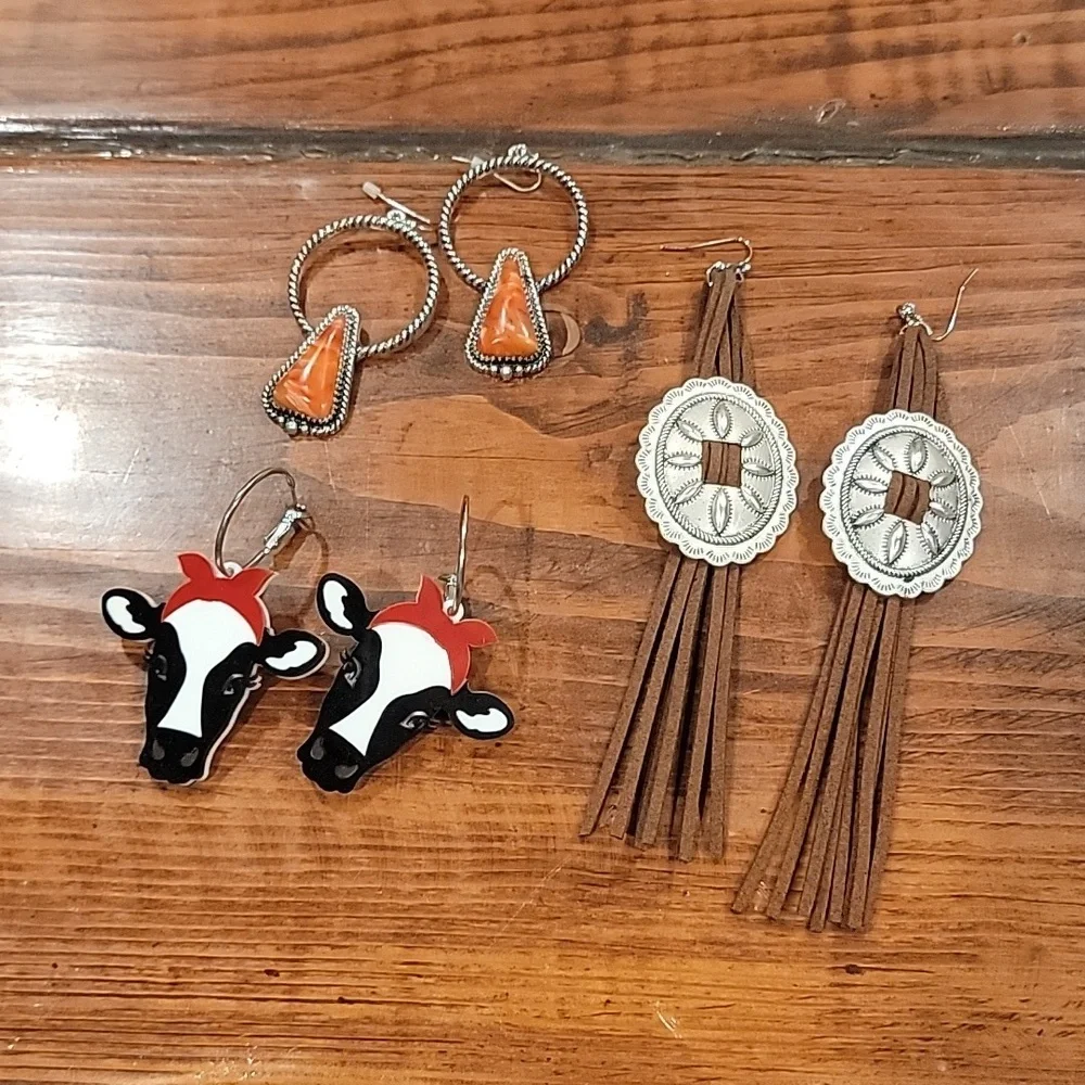 Fun earrings - Picture 1 of 1